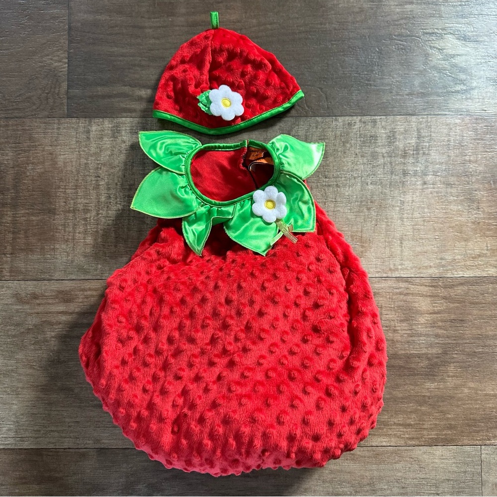 Candy Corn Lane minky strawberry costume 24 month